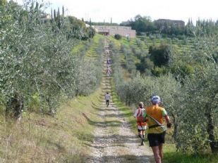 Ecomaratona del Chianti - by Luciano