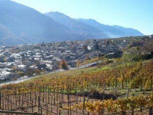 Luciano al Valtellina Wine Trail